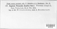 Image Associated With the Occurrence